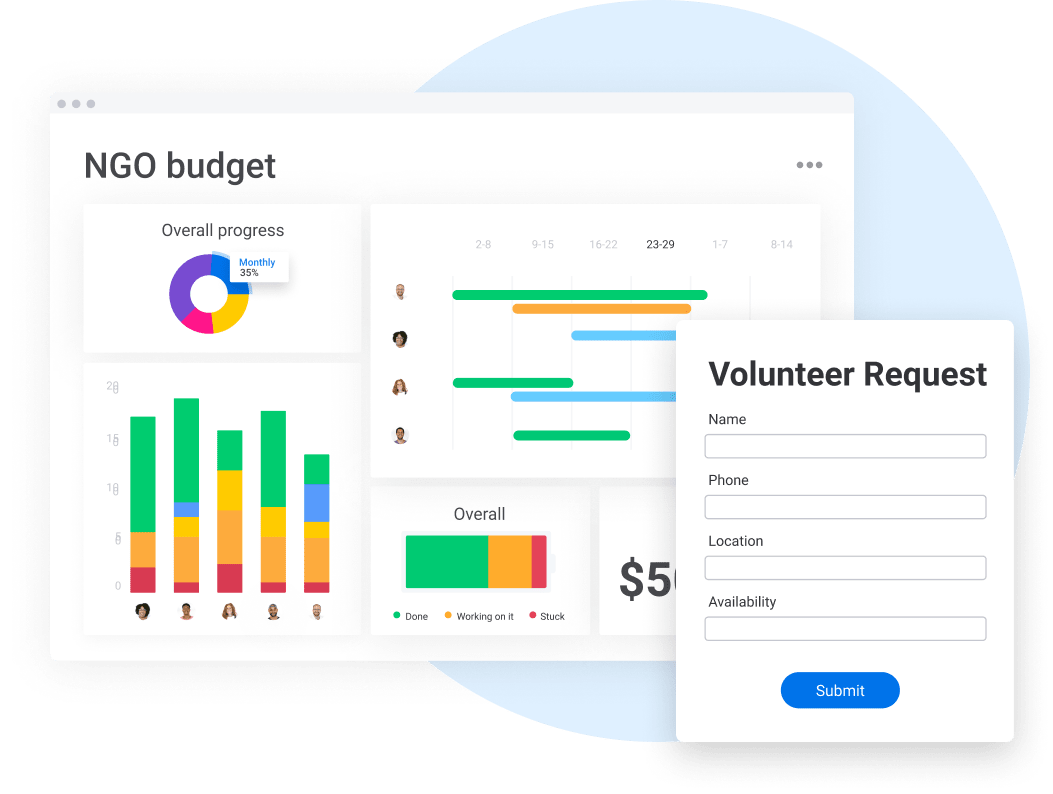 Budget dashboard and volunteer form